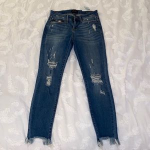 Judy Blue - Peter Skinny Jeans
